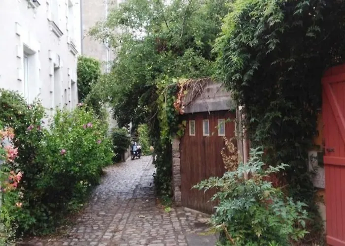 Nid Du Masse Avec Parking